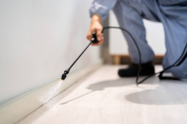 Licensed Rodent Control service in Bonny Doon, CA - Nex Pest Control