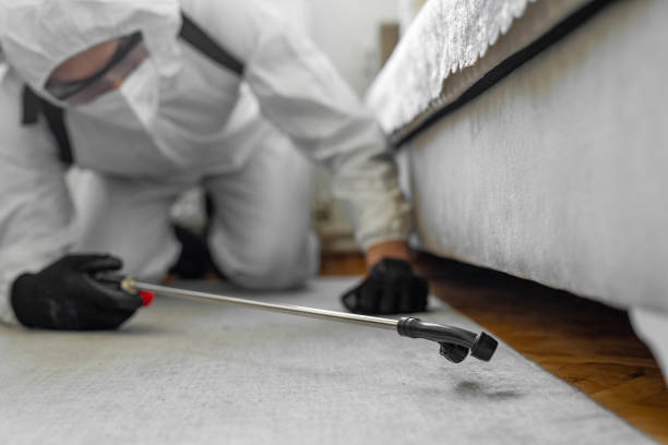 Professional Rodent Control technician working in Bonny Doon, CA