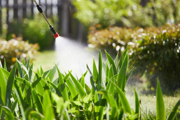 24/7 Emergency Rodent Control experts in Bonny Doon, CA