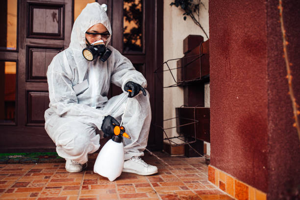 Reliable Rodent Control contractor in Bonny Doon, CA by Nex Pest Control