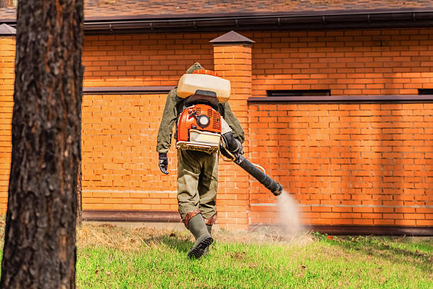 Trusted Cockroach Control service in Bonny Doon, CA - Nex Pest Control